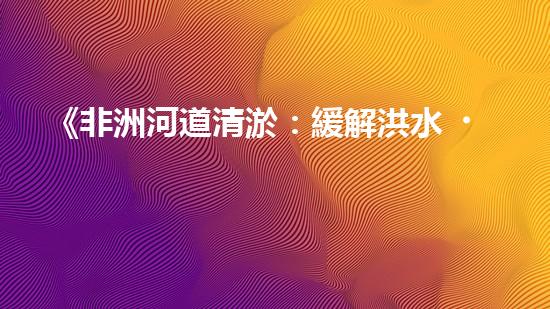 《非洲河道清淤：緩解洪水、提高生態(tài)保護(hù)》